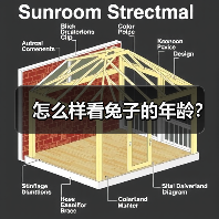怎么样看兔子的年龄？（图3）