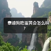 泰迪狗吃蛋黄会怎么样？（图1）