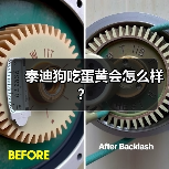 泰迪狗吃蛋黄会怎么样？（图3）