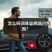 怎么样训练雪纳瑞叼东西？（图2）