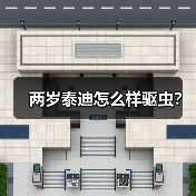 两岁泰迪怎么样驱虫？（图2）