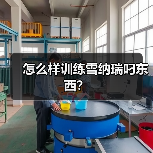 怎么样训练雪纳瑞叼东西？