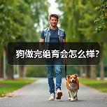 狗做完绝育会怎么样？