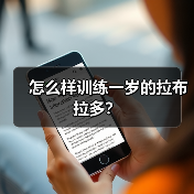 怎么样训练一岁的拉布拉多？（图4）