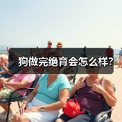 狗做完绝育会怎么样？（图3）