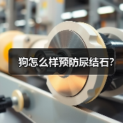 狗怎么样预防尿结石？