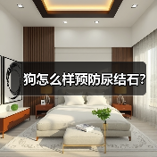 狗怎么样预防尿结石？（图4）
