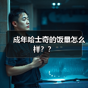 成年哈士奇的饭量怎么样？？