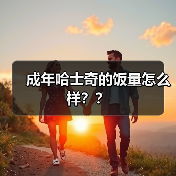 成年哈士奇的饭量怎么样？？（图4）