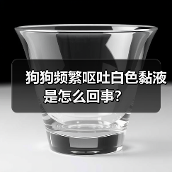 狗狗频繁呕吐白色黏液是怎么回事？（图1）
