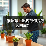 猫咪背上出现鼓包是怎么回事？（图2）