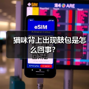 猫咪背上出现鼓包是怎么回事？（图4）