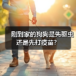 刚到家的狗狗是先驱虫还是先打疫苗？（图2）