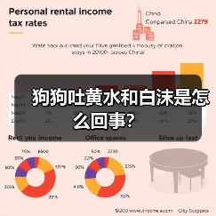 狗狗吐黄水和白沫是怎么回事？