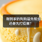 刚到家的狗狗是先驱虫还是先打疫苗？
