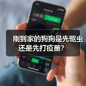 刚到家的狗狗是先驱虫还是先打疫苗？（图4）