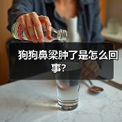 狗狗鼻梁肿了是怎么回事？（图2）