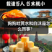 狗狗吐黄水和白沫是怎么回事？（图4）