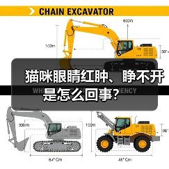 猫咪眼睛红肿、睁不开是怎么回事？（图3）