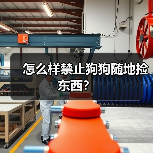 怎么样禁止狗狗随地捡东西?(图1) 怎么样禁止狗狗随地捡东西?(图1)