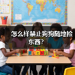 怎么样禁止狗狗随地捡东西?(图4) 怎么样禁止狗狗随地捡东西?(图4)