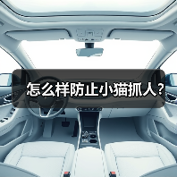 怎么样防止小猫抓人？（图1）