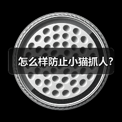 怎么样防止小猫抓人？（图4）