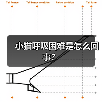 小猫呼吸困难是怎么回事？（图2）