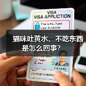 猫咪吐黄水、不吃东西是怎么回事？（图1）