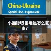 小猫呼吸困难是怎么回事？（图3）