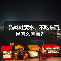 猫咪吐黄水、不吃东西是怎么回事？（图4）