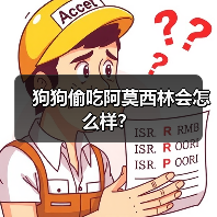 狗狗偷吃阿莫西林会怎么样？（图2）
