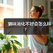 猫咪消化不好会怎么样？（图3）