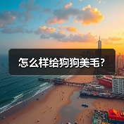 怎么样给狗狗美毛？（图2）