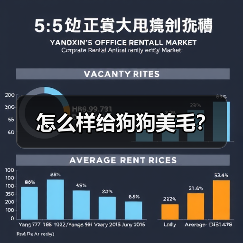 怎么样给狗狗美毛？