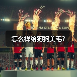 怎么样给狗狗美毛？（图4）