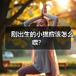 刚出生的小猫应该怎么喂？