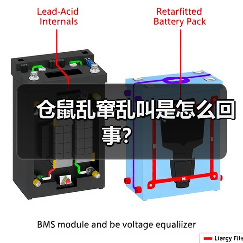 仓鼠乱窜乱叫是怎么回事？