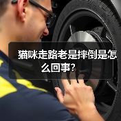 猫咪走路老是摔倒是怎么回事？