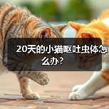 20天的小猫呕吐虫体怎么办？