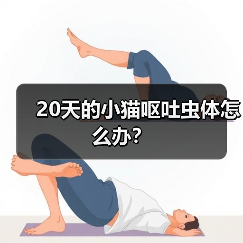 20天的小猫呕吐虫体怎么办？（图3）
