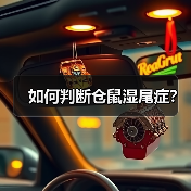 如何判断仓鼠湿尾症？（图2）