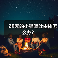 20天的小猫呕吐虫体怎么办？（图4）