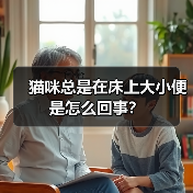 猫咪总是在床上大小便是怎么回事？（图3）