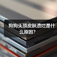 狗狗头顶皮肤溃烂是什么原因？（图3）