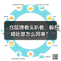 仓鼠埋着头趴着，躲在暗处是怎么回事？（图2）