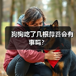狗狗吃了几根蒜苔会有事吗？（图1）