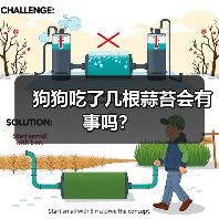 狗狗吃了几根蒜苔会有事吗？