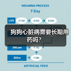 狗狗心脏病需要长期用药吗？