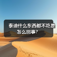 泰迪什么东西都不吃是怎么回事？（图4）